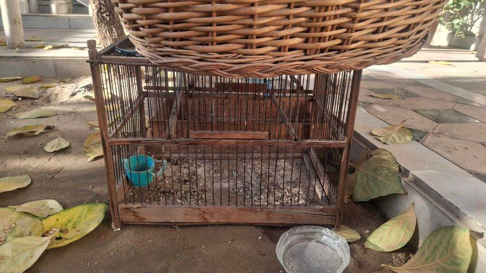 клетки для ваших птиц