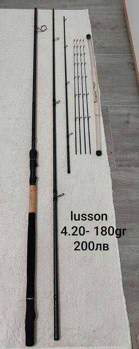 Formax lusson accela