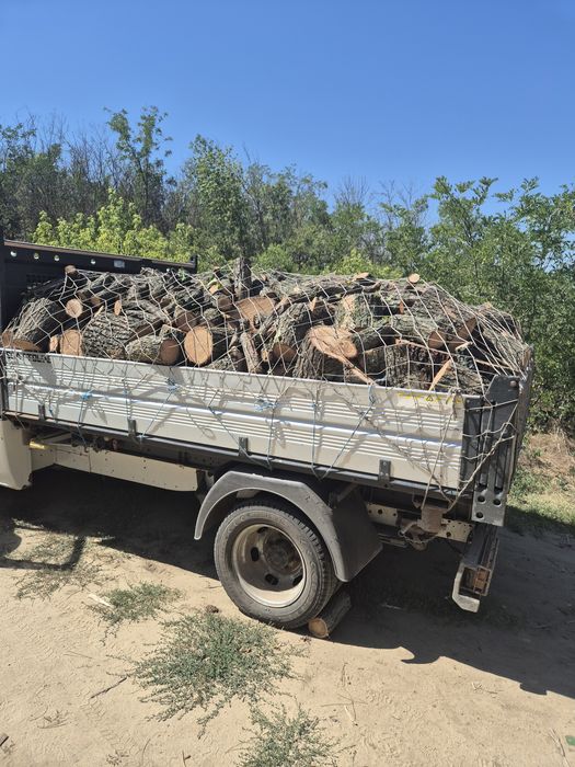 Vind lemn foc salcim  frasin. Arțar. Gladita. și alte diverse tari