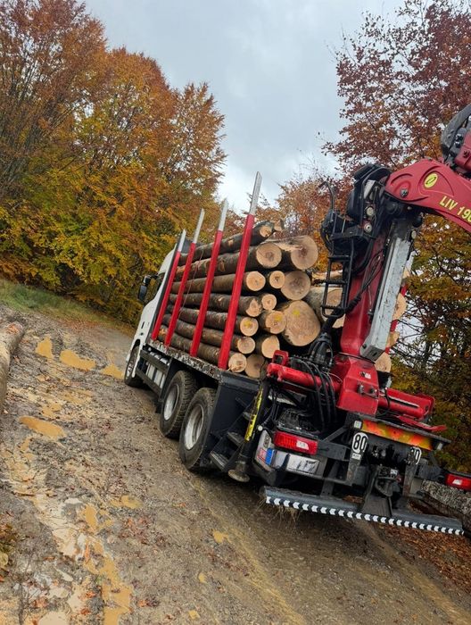 Lemn foc fag, stejar , carpen , salcâm