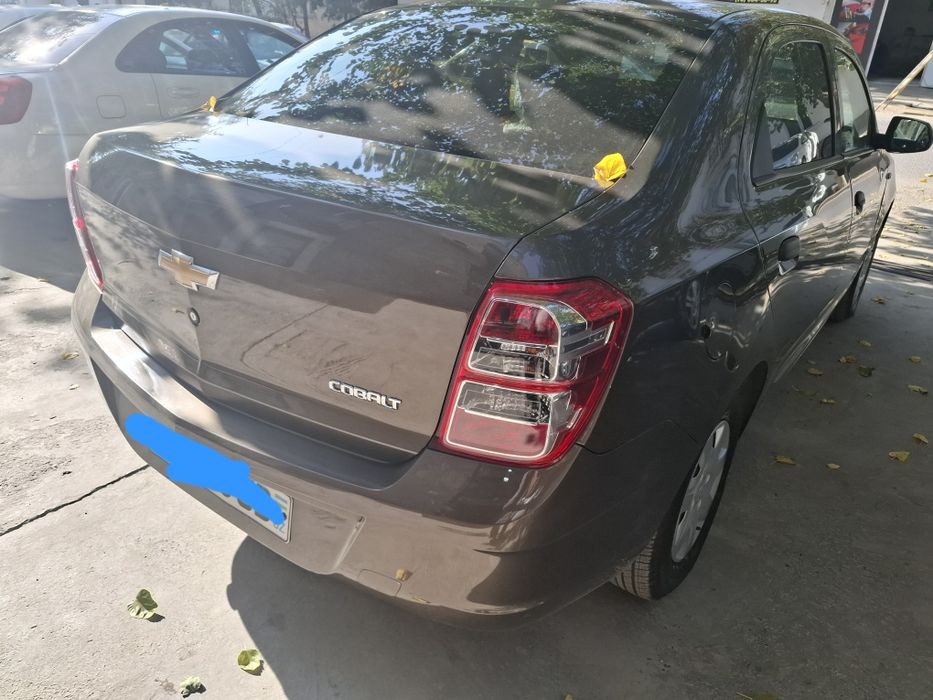 Продам коблт 2024 викубга бераман