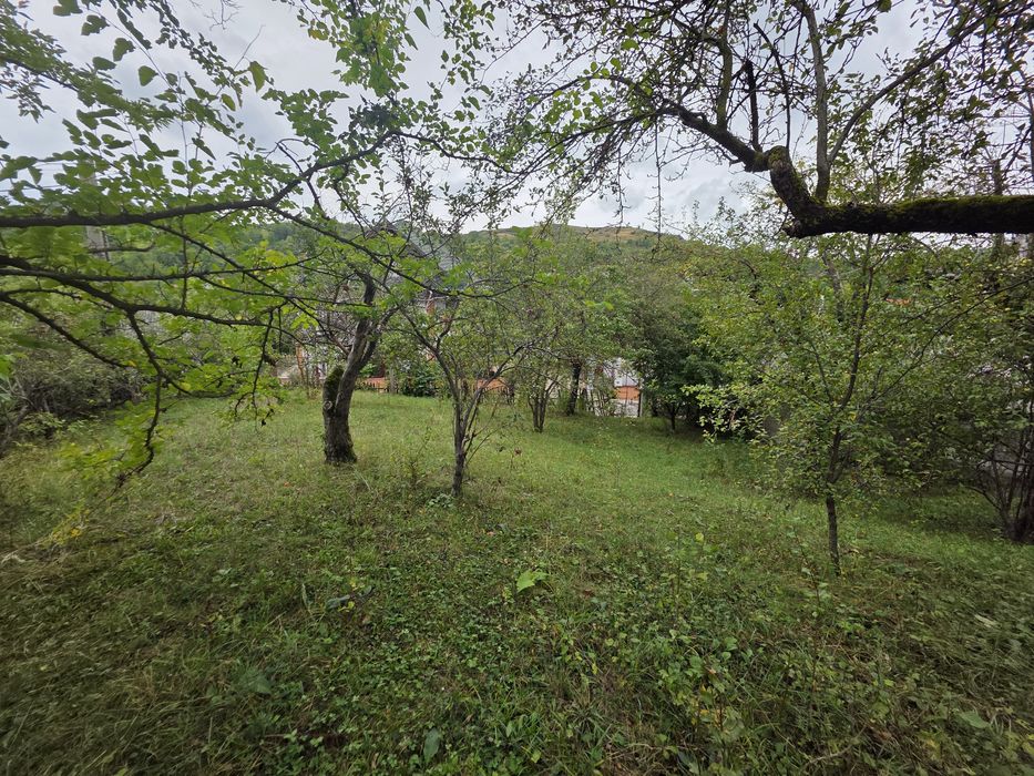 Teren intravilan Runcu Dambovita