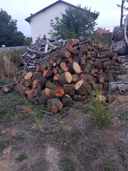 Продавам Дърва за огрев