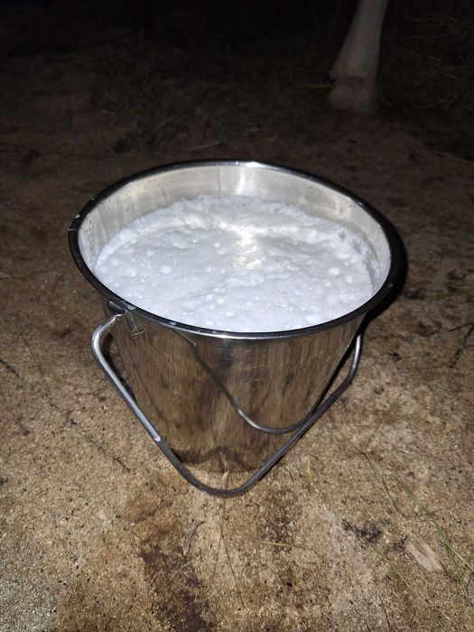 Vaca B.R. de vânzare