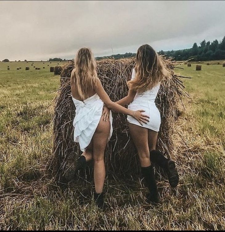 Сено  суданка люцерна