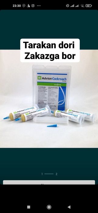 Tarakan dori chumoli dori(advision coockroach)