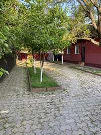 Casa de vanzare in Covaci