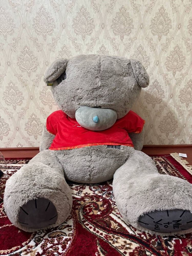 Тедди сотилади срочно