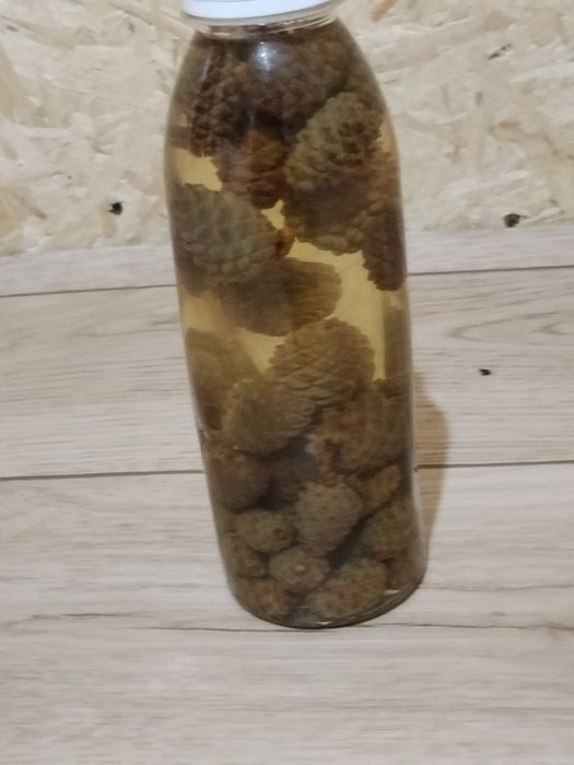 Продам сосновый шишки на водке