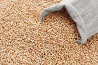 Зерно в мешках, 85 тг/тонна