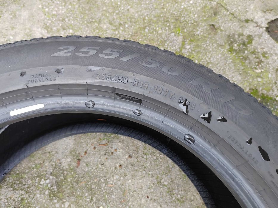 255/50/19 1бр.Pirelli Зимна гума
