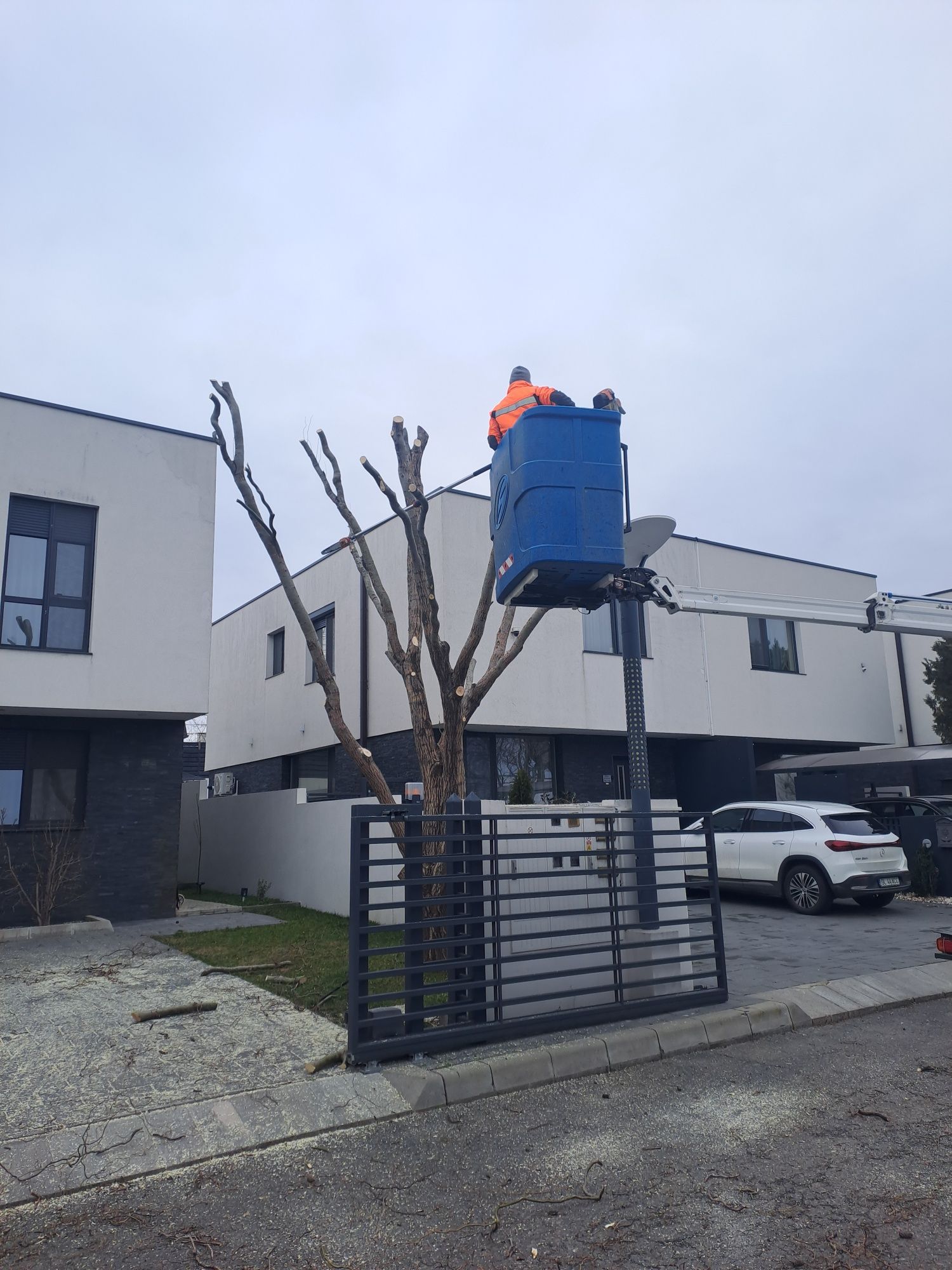 Tăieri Arbori/Fasonare/Toaletare/Alpinism Utilitar 24/7