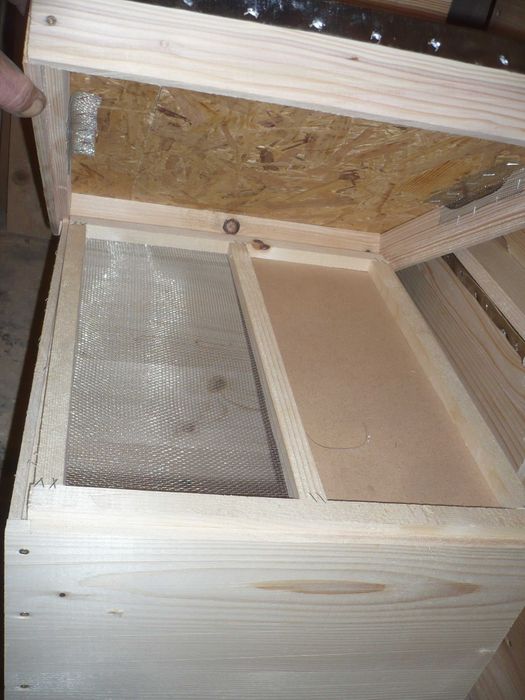 Stupi pe 10 rame  ,180 lei