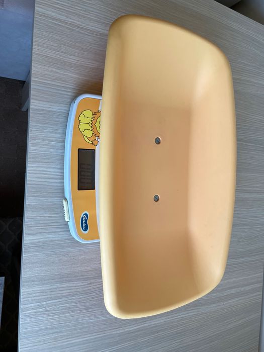 Cântar Bebeluș 50 lei