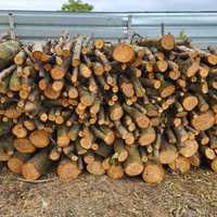 Продавам дърва за огрев череша 70 лв/кубик - метровки