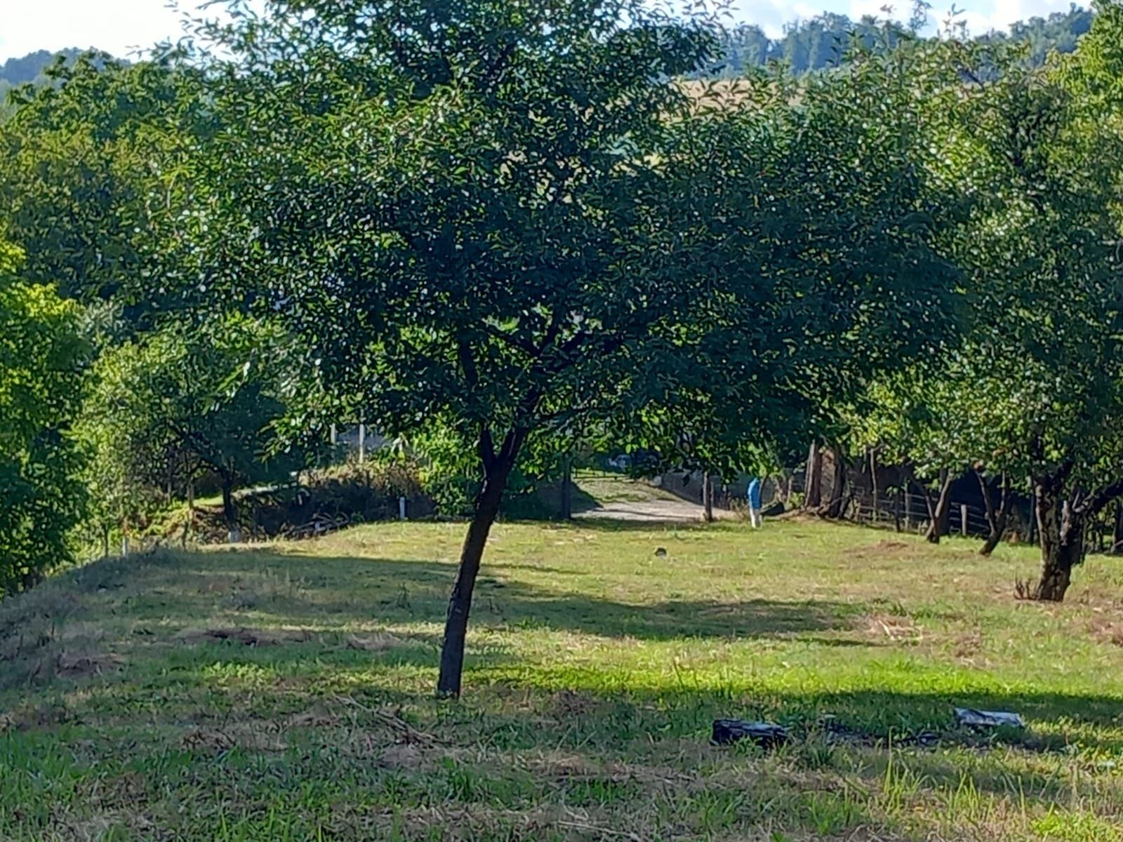 Teren zona Vladesti, sat Fundatura