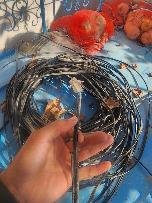 Zyxel svich sotiladi kamplekt kabillarixam sotiladi