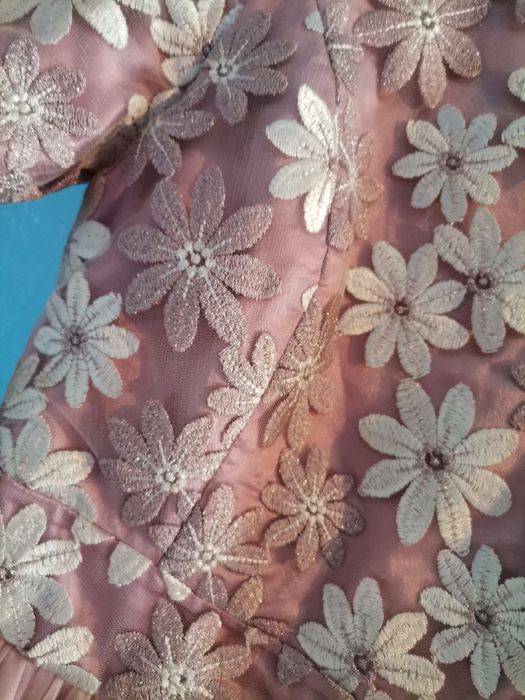 Rochita de nasa lunga.