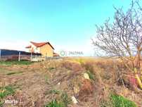 Descoperă Daia: Teren Intravilan 1000mp cu Vedere Superbă