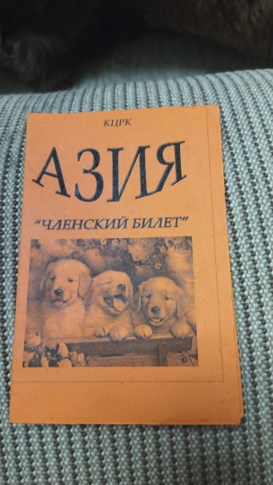 Вязка,случка спаниель