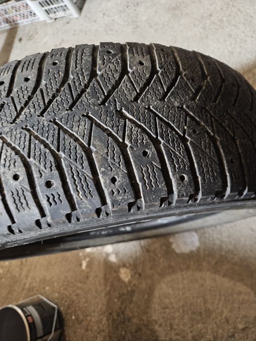 Шины   triangel зимние