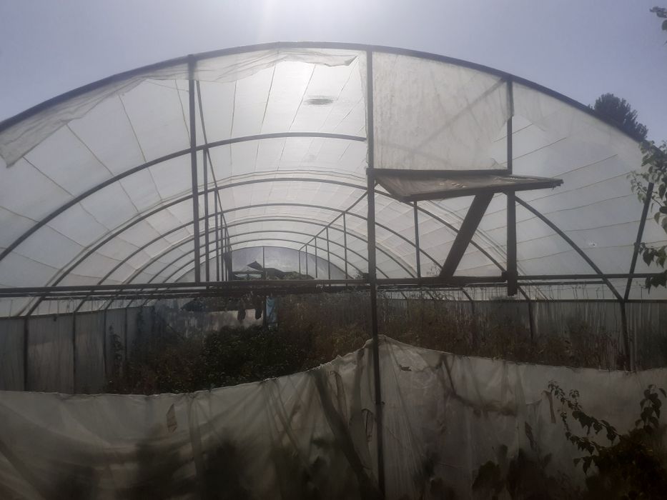Issiqxona sotiladi srocna 12 millon kammi bor