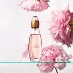 Celebre Avon 50ml