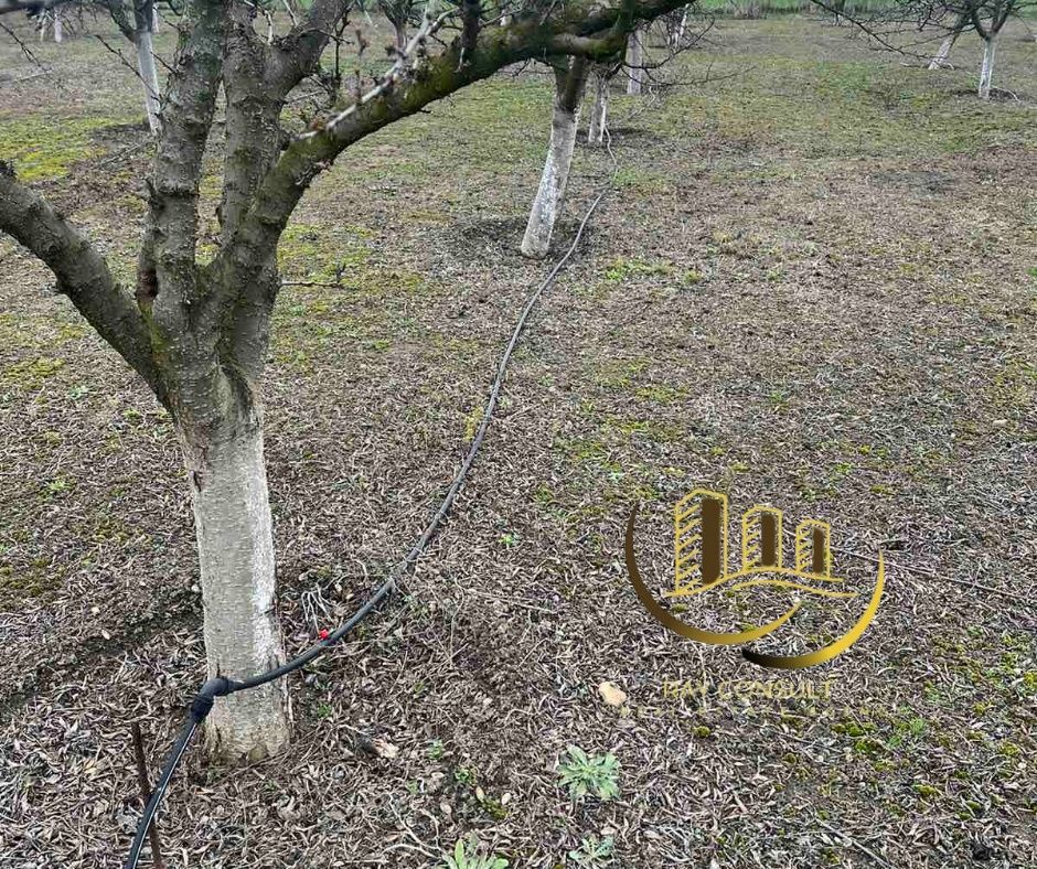 Продава се Земеделски имот в Димитровград -  кв.м за 3400 €/дка - Снимка #3