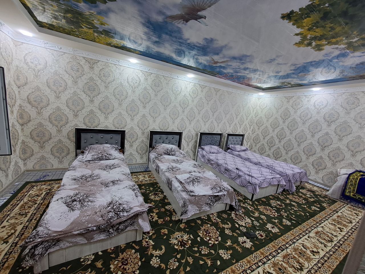 Dacha arenda parkent