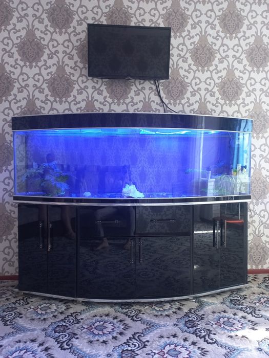 Аквариум сотилади б/у