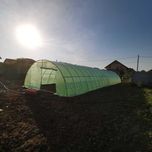 Solar/Sera Gradina tip tunel/teava galvanizata/2x2-8x20m  ab
