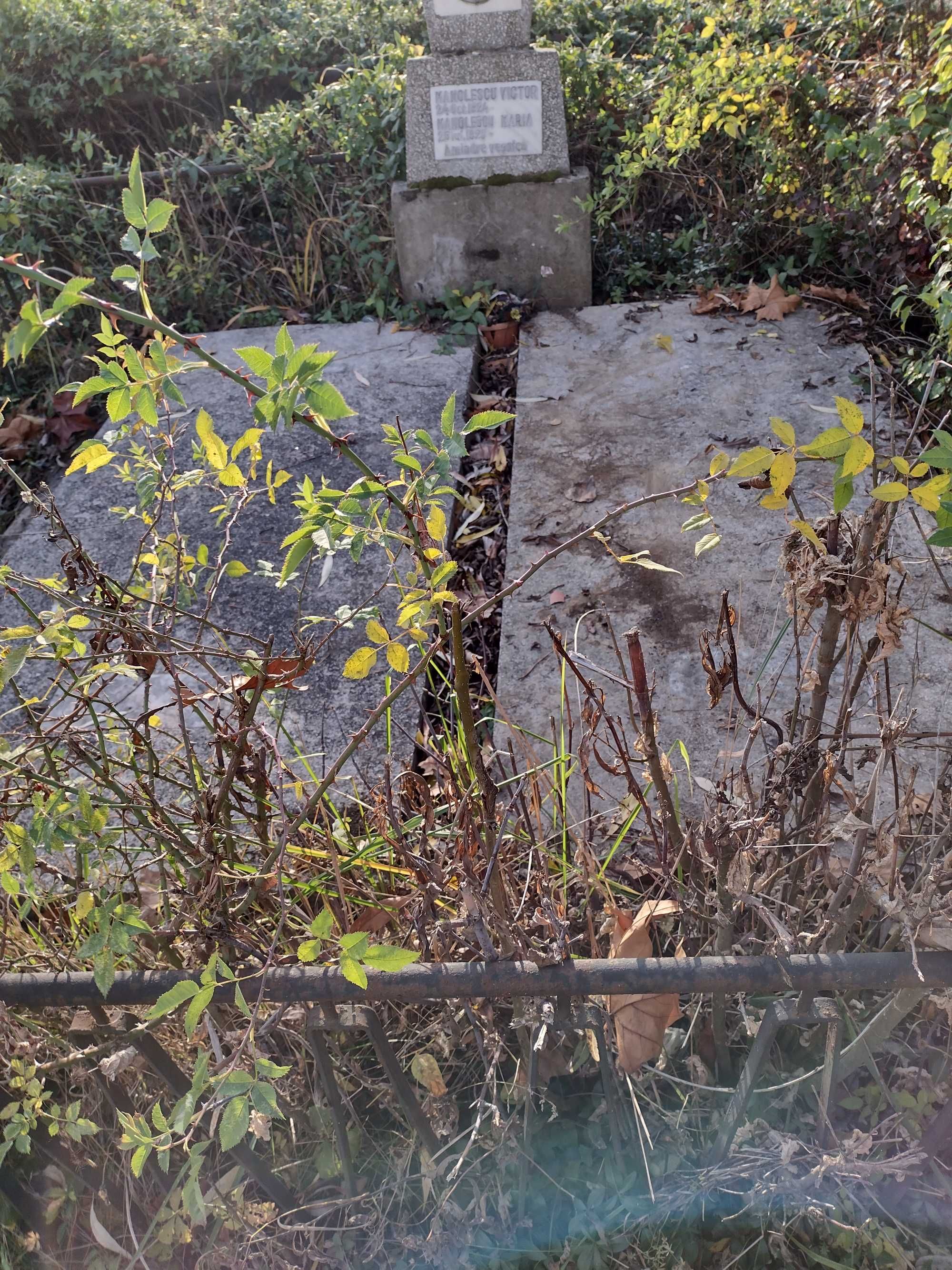 2 cripte cimitir Sf Gheorghe Pitești