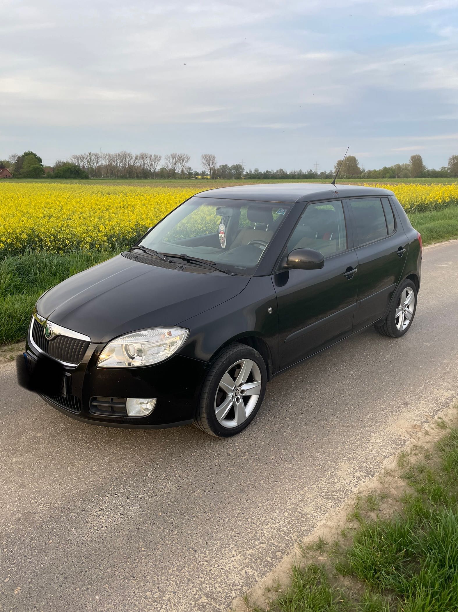 Skoda Fabia 1.9 Tdi   /105 Cp