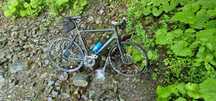 Ciclocross  carbon cursiera frane disc/schimb