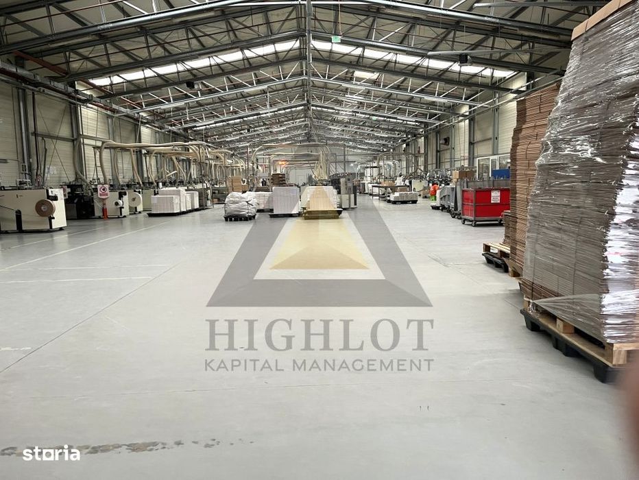 Stefaneștii De Jos |Parc Industrial 6913.5Mp | Poziționare Strategic