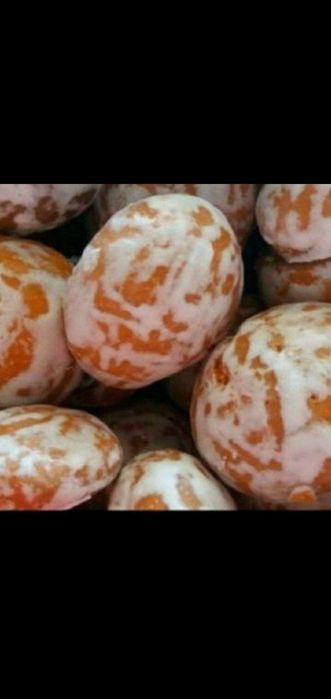 Pryanik baronski orgatanan 400 dollor bn bir kunda