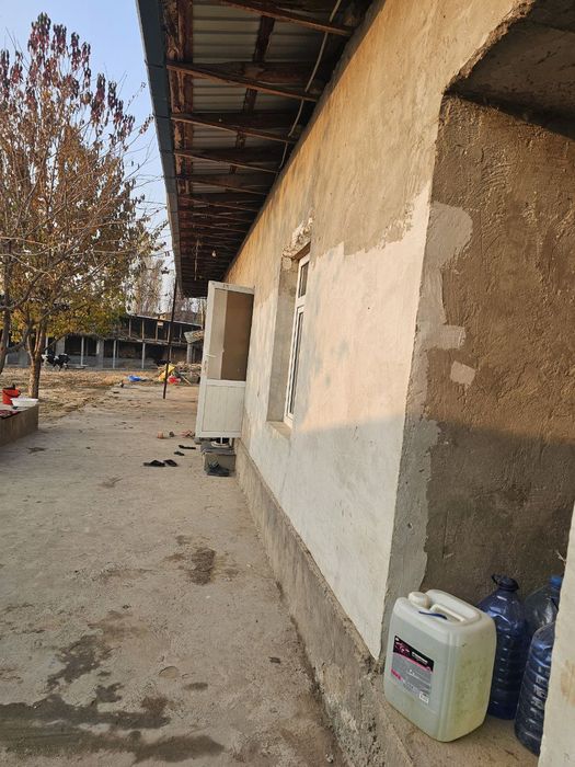 Mol uchun tayyor ferma maydoni sotiladi