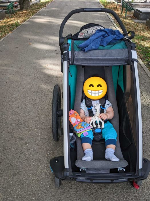 Hamac pentru cărucior/remorcă Thule Chariot - Thule Infant Swing