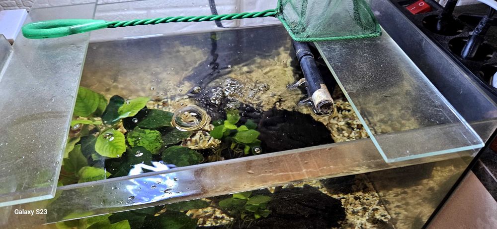 Аквариум със помпа