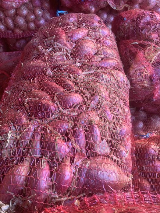 Ceapa rosie lunguiata cu codita