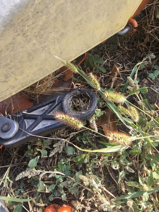 Vand cositoare Dac 777k