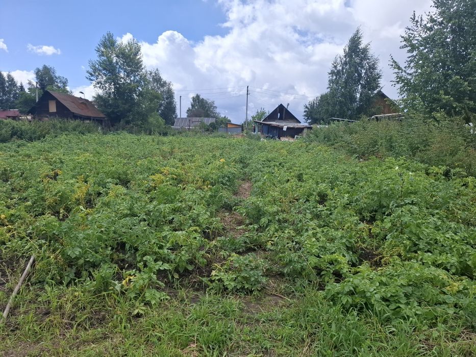 Продам дачу на первом районе имеется домик,туалет уличный.,дровник.х.