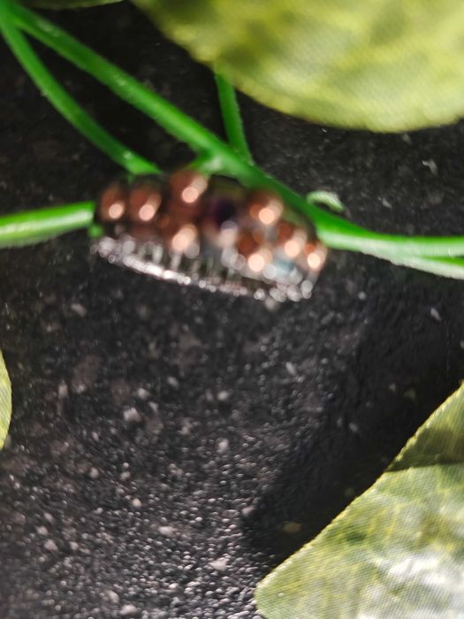 Продавам италиански сребърен пръстен