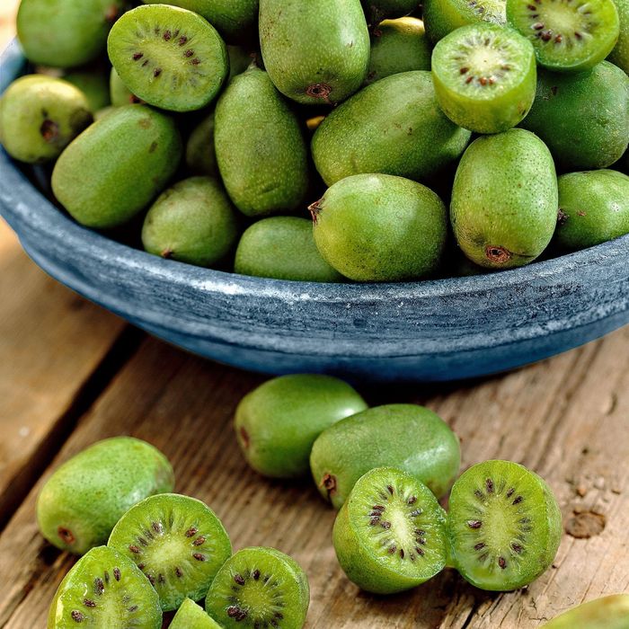 Kiwi fara par , rodie , mosmon , smochin altoit