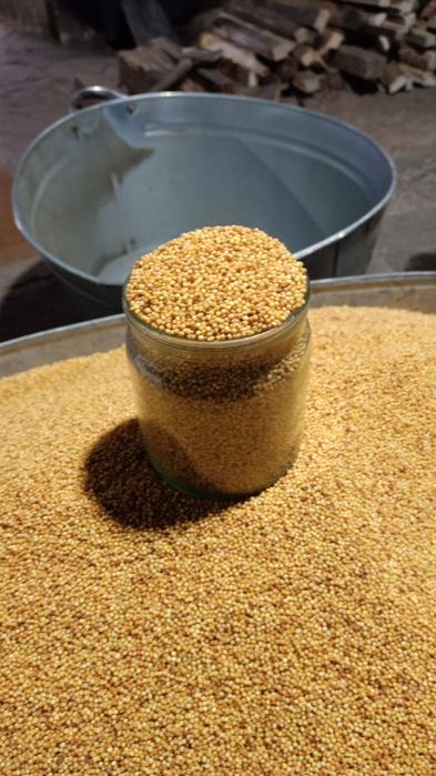 Домашний тары, свежие / 350 тг