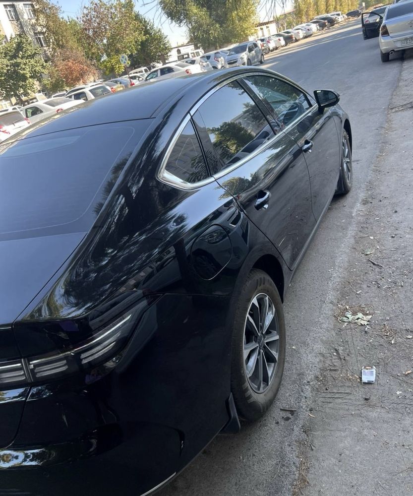 BYD chazor 55km 2 поз 2024