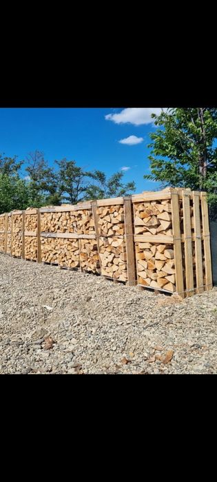 Lemne de foc fag esenta tare