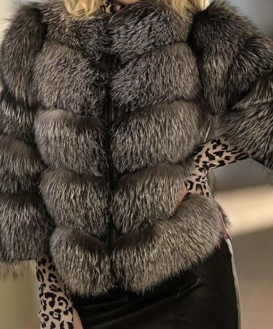 Haina blana vulpe argintie