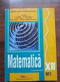 Manual Matematica M1 profil real, pentru clasa a XII-a - Mihai, Ion