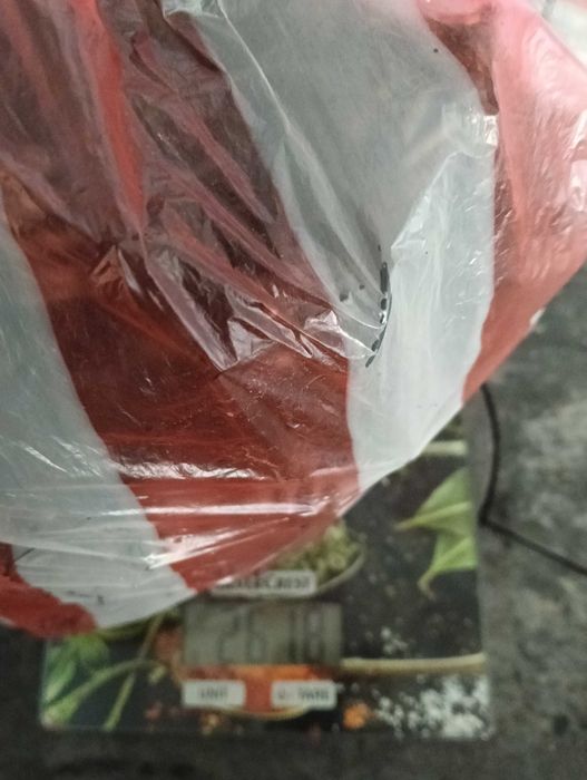 Електронна скрап